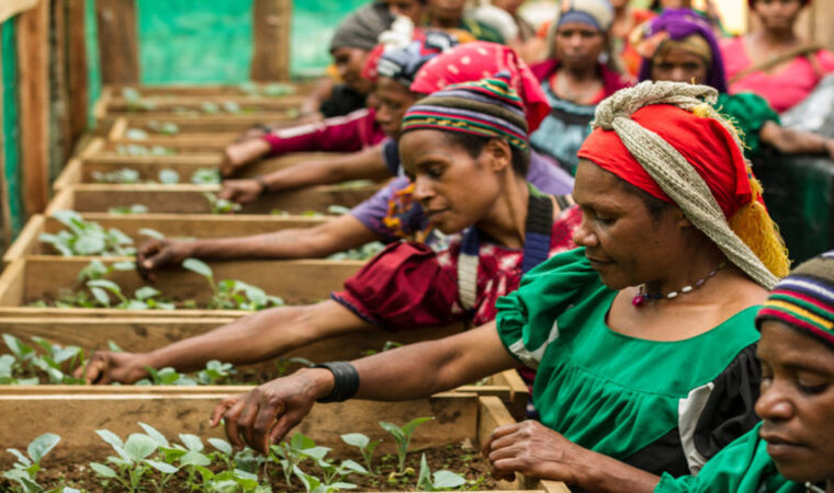 Agricultural Workers in Nursery