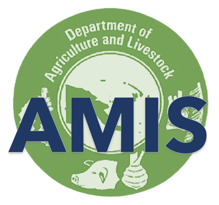 AMIS Logo